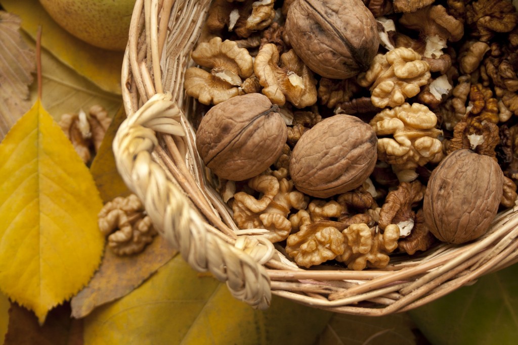 nuts-1620814_1920