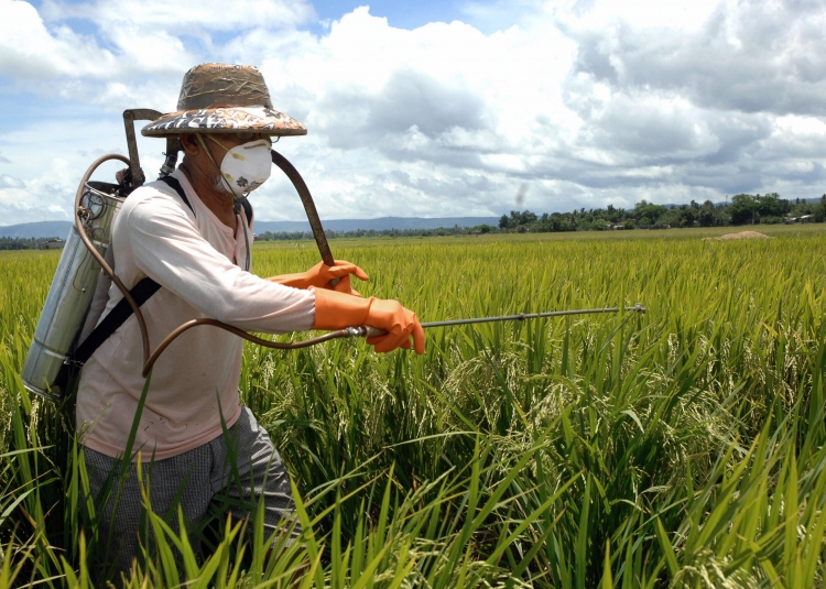 3 studii care confirmă amenințarea pesticidelor