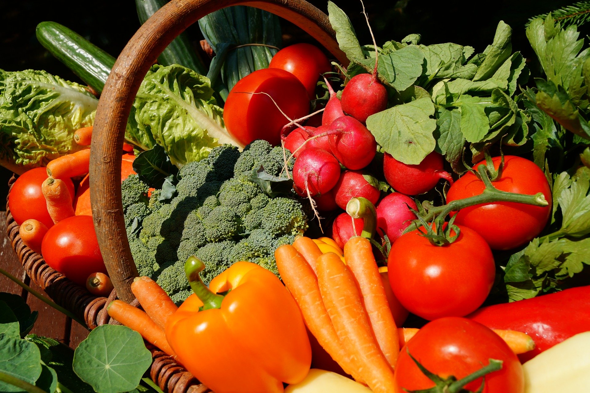 Vegetables-3386212_1920