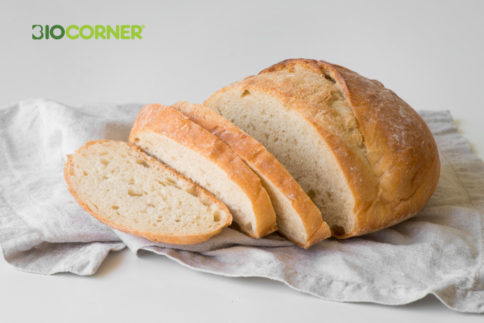 Paine Feliata Rotunda Biocorner