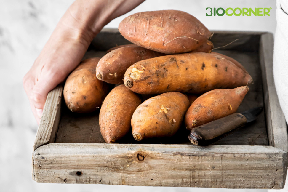Cartofi Dulci In Lada Biocorner