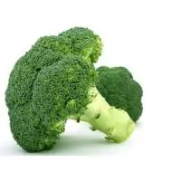 ECO BROCCOLI KG-0