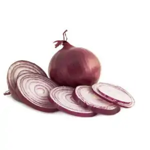 ECO CEAPA ROSIE KG-0