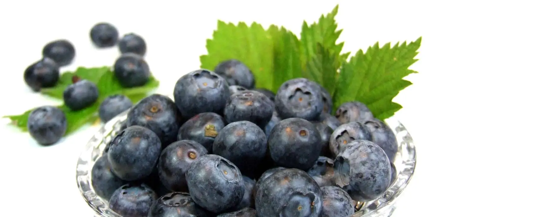 SOTO ECO AFINE CONGELATE 300 G-10259