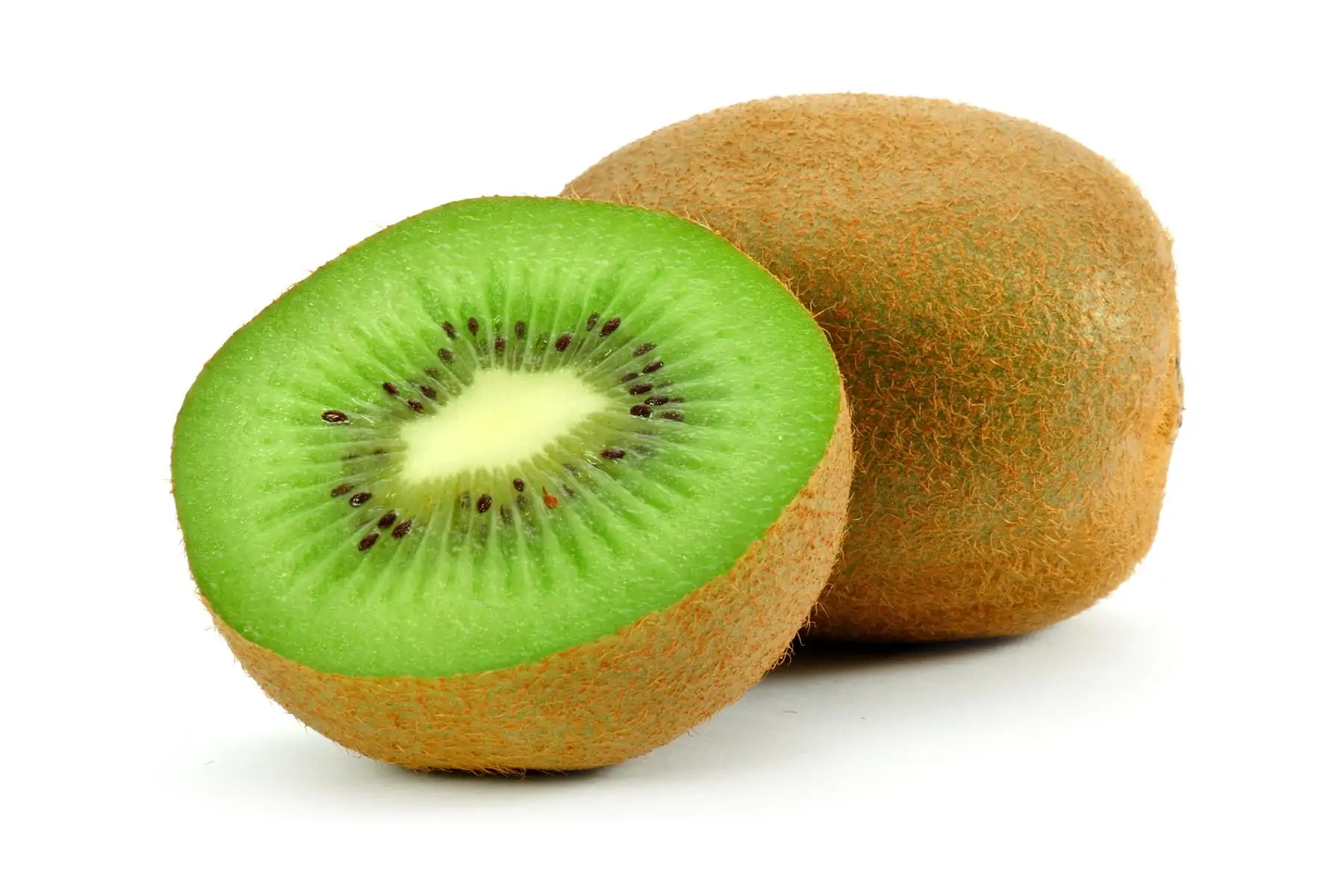 ECO KIWI KG-0