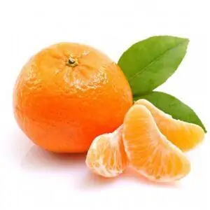 ECO CLEMENTINE-0
