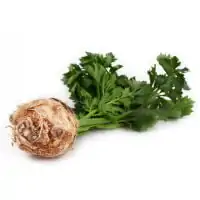 ECO TELINA RADACINA KG-0