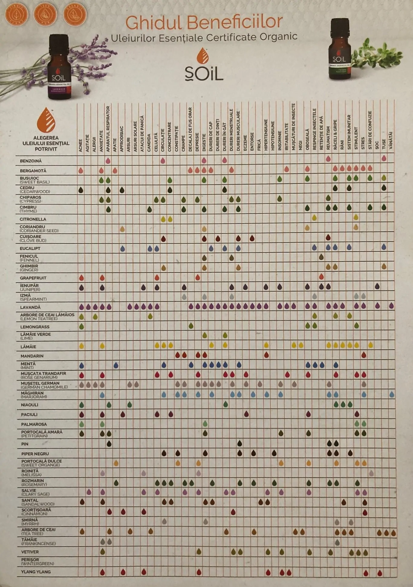 GHIDUL ULEIURILOR ESENTIALE MARCA - SOiL --10039
